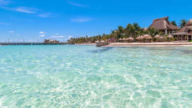 Secretos de la belleza natural_ un viaje a Isla Mujeres