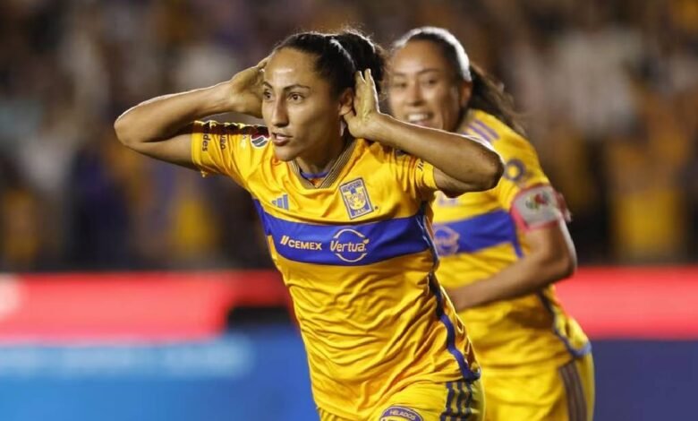 Tigres derrota a Rayadas y jugará ante América