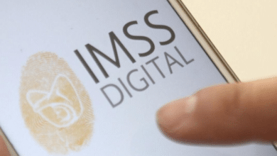 Arranca Cédula Digital de Salud del IMSS; ¿cómo funciona_