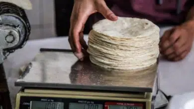 Productores de tortilla anuncian que asumirá costos de producción para no incrementar precio