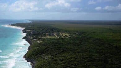 En proceso tres nuevas áreas naturales protegidas en Quintana Roo