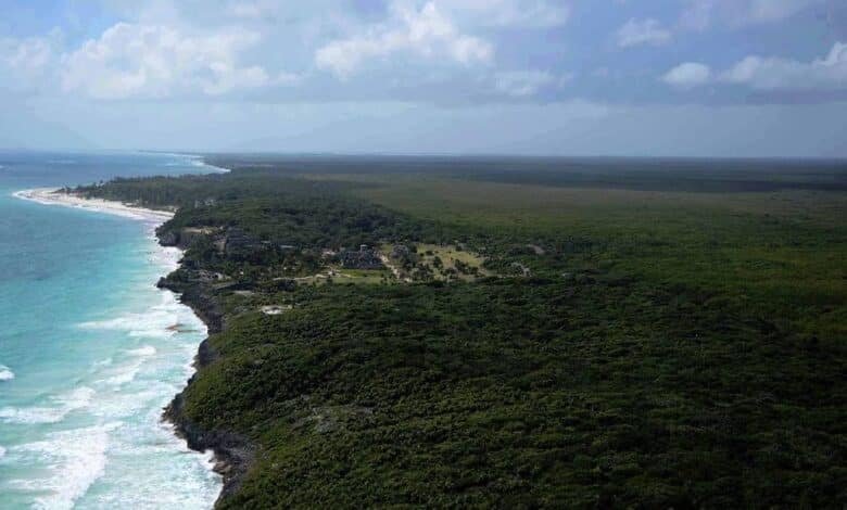 En proceso tres nuevas áreas naturales protegidas en Quintana Roo