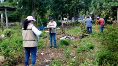 Logra detectar gobierno del estado 15 casos de falsificación de títulos de propiedad en 2024