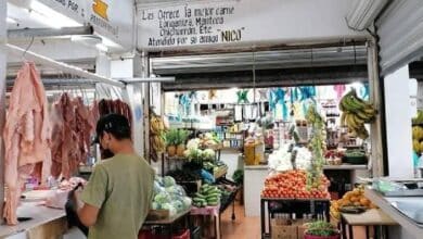 Sin repuntar venta de frutas y verduras en Chetumal