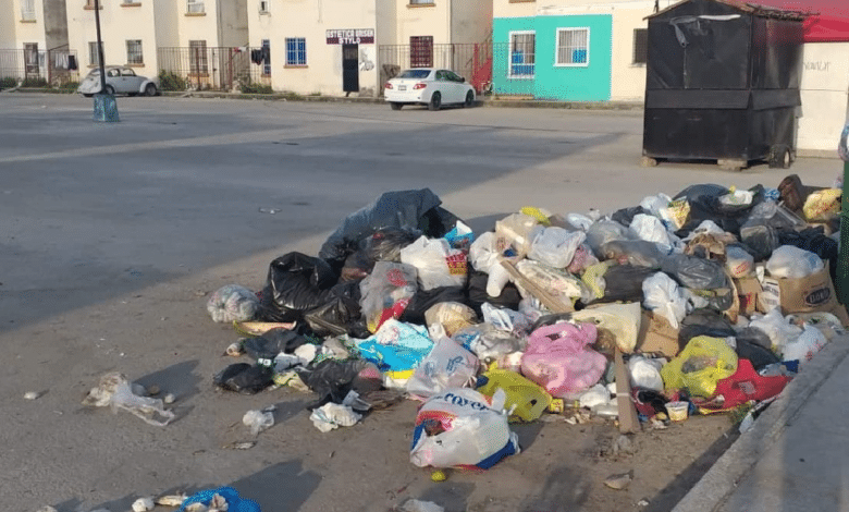 PPA refuerza vigilancia ambiental en Quintana Roo durante decembrinas