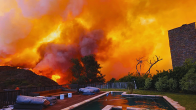 Casas de Tom Hanks y Steven Spielberg se salvan de incendios en LA