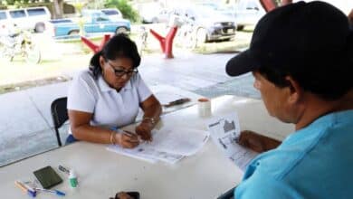 Trámite de licencia de conducir ahora se podrá hacer desde casa