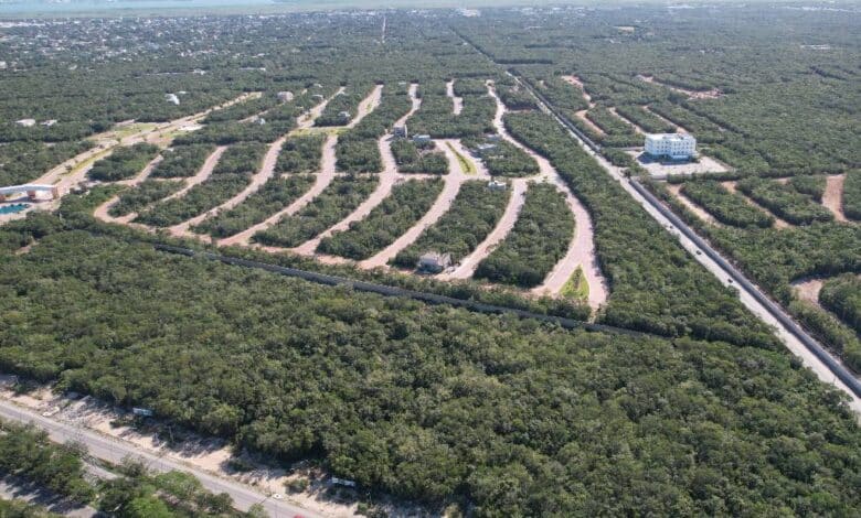 Proyecta gobierno de México regular 4 mil 100 lotes en Quintana Roo en 2025; 141% más que 2024