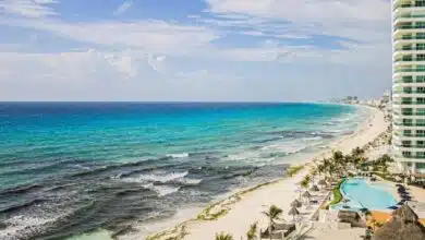 Costas de Quintana Roo ya están siendo impactadas por el recale de sargazo