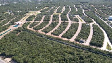 Nueva ley da valor y certeza a la tierra en Quintana Roo