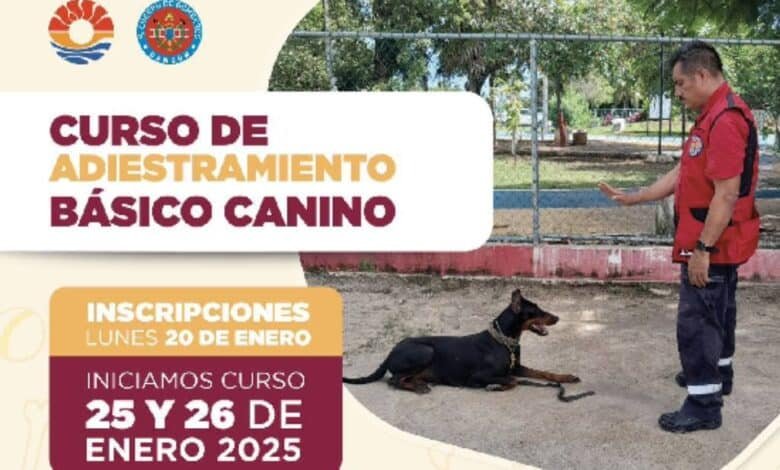 Impartirá bomberos de Cancún curso de adiestramiento básico canino 2025