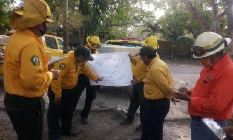 Quintana roo se prepara de los incendios forestales