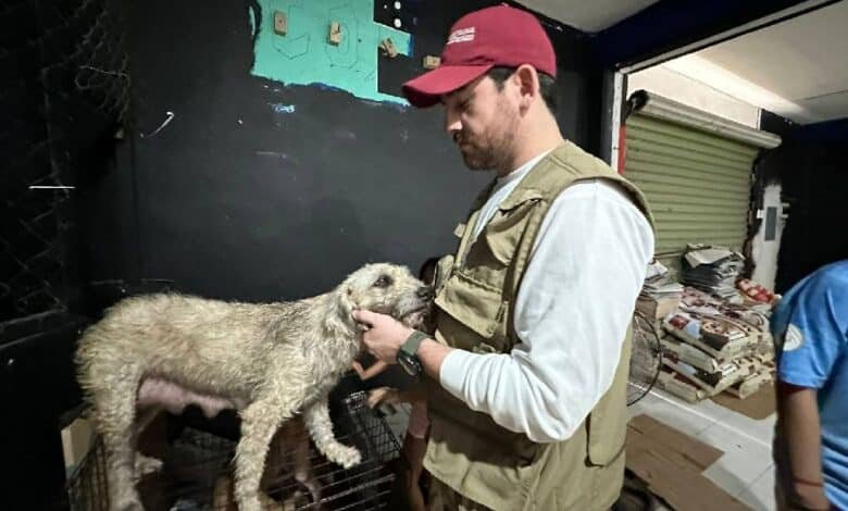 Capacitación sobre bienestar animal prioridad en 2025 para la PPA.