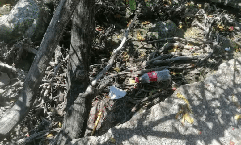 50 personas sancionadas por tirar basura en sitios prohibidos