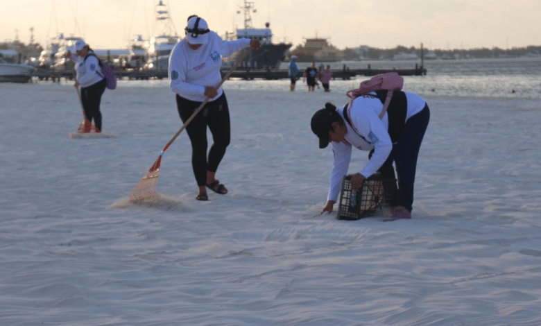 Gobierno Municipal refuerza limpieza de playas a través de Zofemat Isla Mujeres