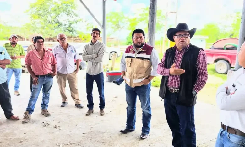 Leche. Liconsa Establecerá Un Centro De Acopio De Leche En El Sur De Quintana Roo