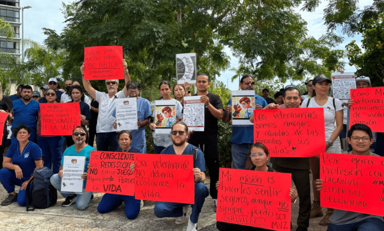 Médicos veterinarios exigen respeto a su labor, cuidado de los animales también es responsabilidad de los propietarios