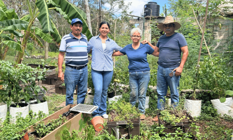 Impulsa gobierno de Blanca Merari al sector agropecuario de Leona VicarioImpulsa gobierno de Blanca Merari al sector agropecuario de Leona Vicario