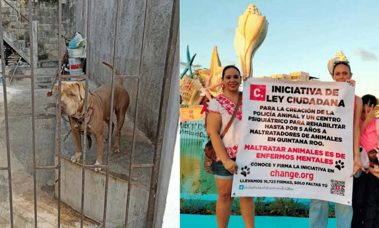 Proponen Policía Animal para Quintana Roo