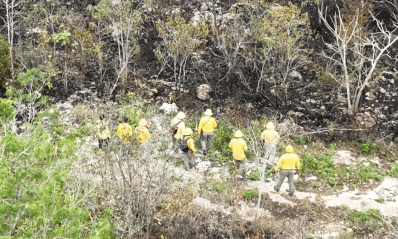 Imagen de personal de bomberos apagando incendios