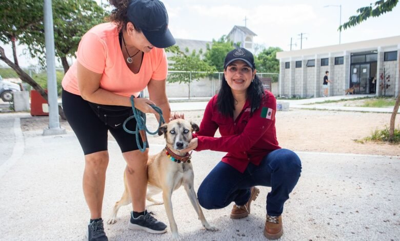 Playa del Carmen se posiciona a la vanguardia del bienestar animal en México