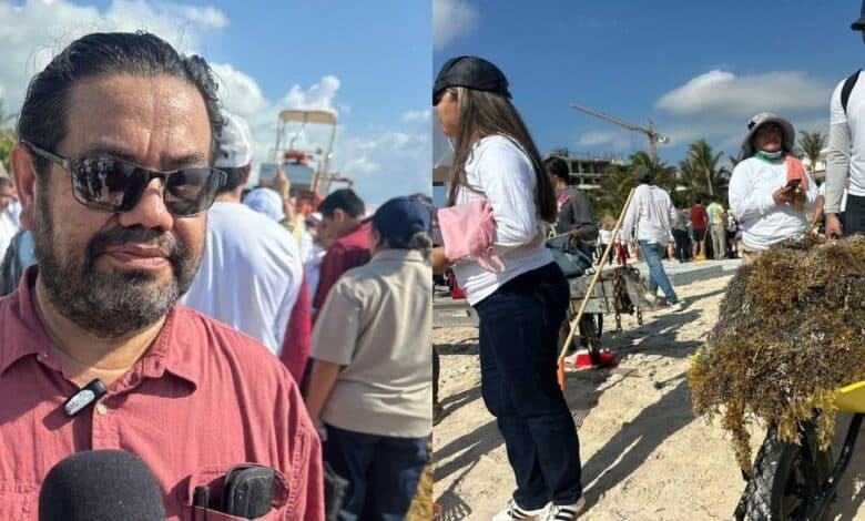 Prevén que temporada activa de huracanes cambie la ruta del sargazo