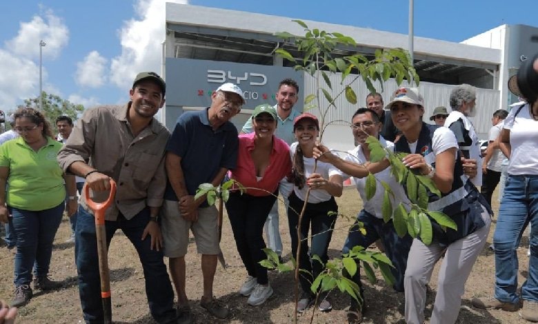 La Presidenta Municipal, Ana Paty Peralta, celebró que el Programa de las Naciones Unidas para el Medio Ambiente (PNUMA)
