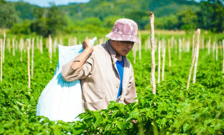 Hombre agricultor en campo