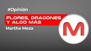 Flores, dragones y algo más…