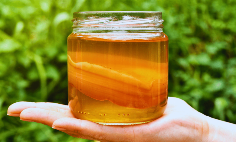 Kombucha un fermento milenario que conquista paladares