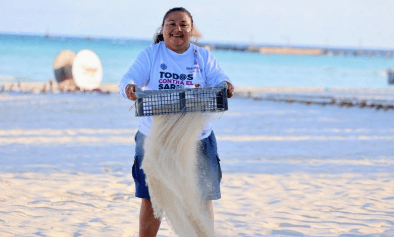 Playa Norte se consolida como orgullo de Isla Mujeres con acciones de limpieza y reconocimiento internacional