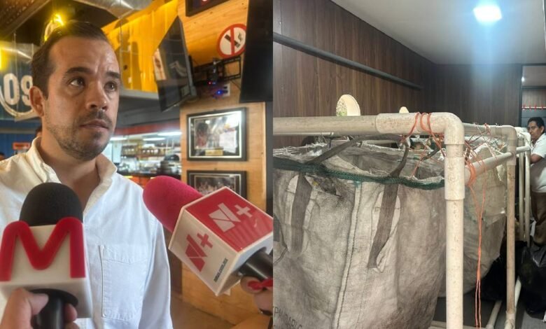 Reciclatón en Cancún suma esfuerzos para promover el reciclaje