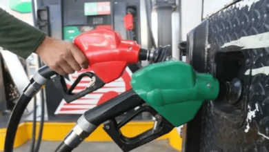 Profeco_ Precio de la gasolina se mantiene en 23.59 pesos por litro