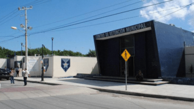 Torito de Cancún ofrece tres comidas al día a infractores