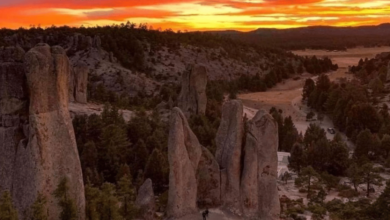 Valle de los Monjes un bosque de gigantes de piedra en la Sierra Tarahumara (Foto por Creel Cabañas)