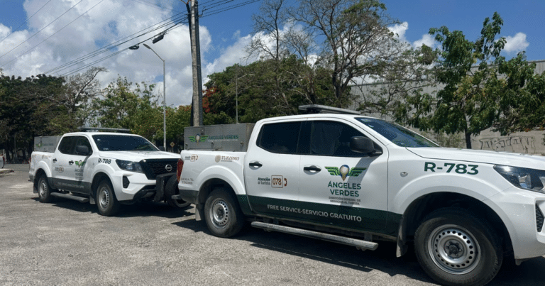 Los Ángeles Verdes aseguraron que son pocos los accidentes automovilísticos que se han atendido en comparación con otros años.