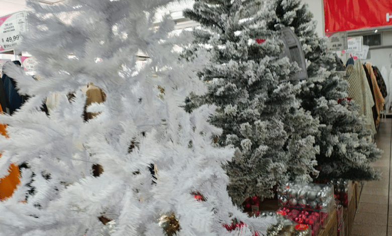 Las familias gastan entre 100 hasta cinco mil pesos en adornos de navidad