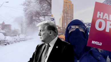 En medio de protestas nacionales por la muerte de un manifestante a manos de agentes federales en Mineápolis y una megatormenta invernal que ha dejado al menos 30 muertos, el presidente Donald Trump ajustó su estrategia tanto en materia migratoria como en el manejo de la crisis interna, ordenando cambios tácticos y un repliegue parcial de fuerzas federales.