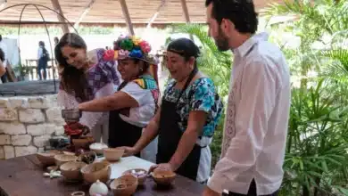 gastronomía genera más de 120 mdp al año en quintana roo